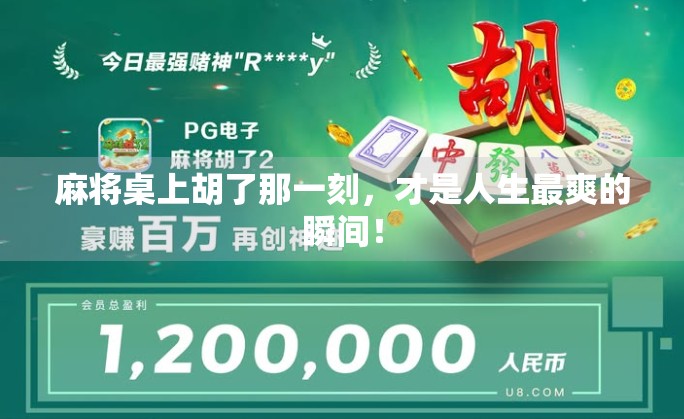 麻将桌上胡了那一刻，才是人生最爽的瞬间！